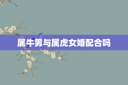 属牛男与属虎女婚配合吗