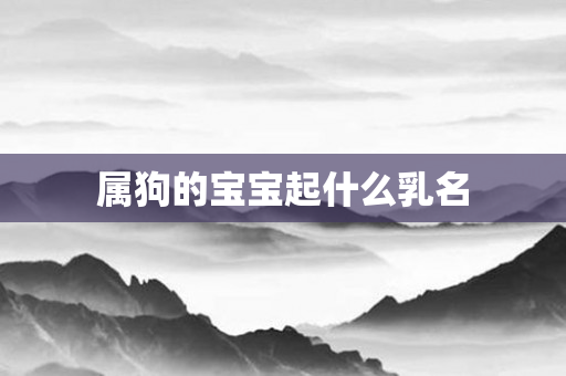 属狗的宝宝起什么乳名
