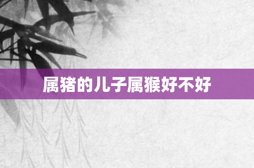 属猪的儿子属猴好不好
