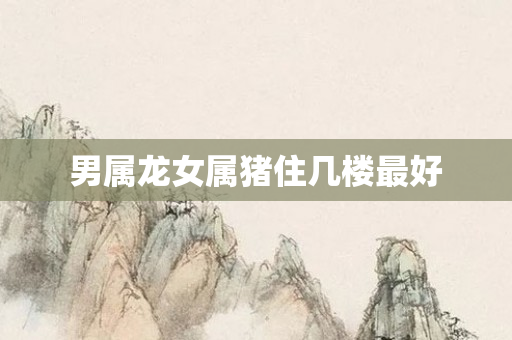 男属龙女属猪住几楼更好