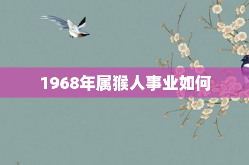 1968年属猴人事业如何