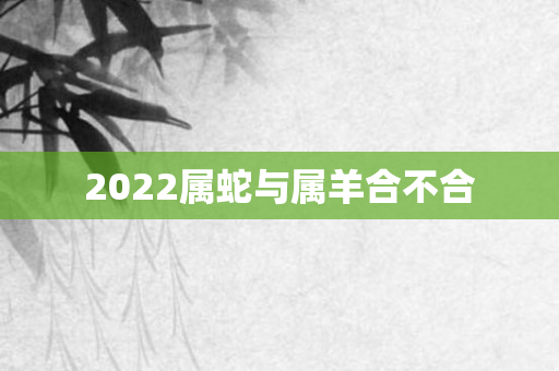 2022属蛇与属羊合不合