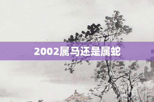 2002属马还是属蛇