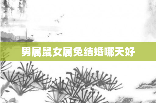 男属鼠女属兔结婚哪天好