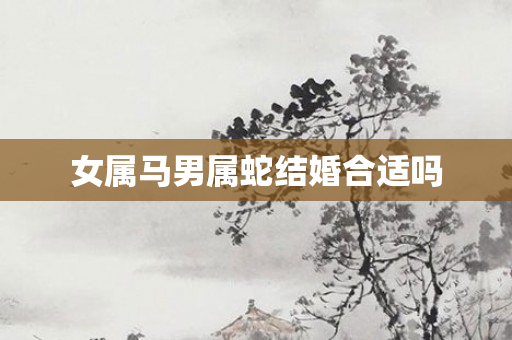 女属马男属蛇结婚合适吗