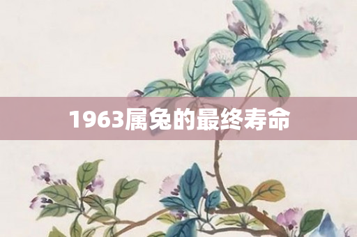 1963属兔的最终寿命