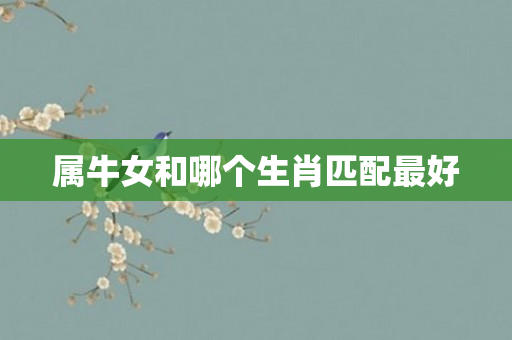 属牛女和哪个生肖匹配更好
