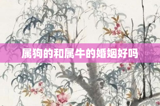 属狗的和属牛的婚姻好吗