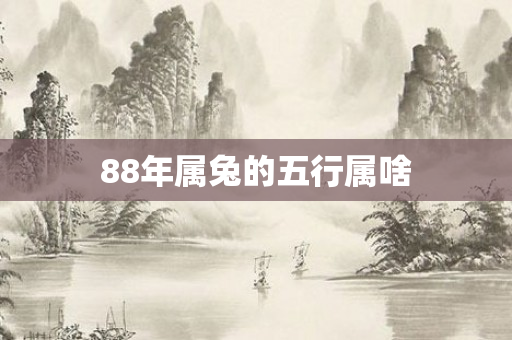 88年属兔的五行属啥