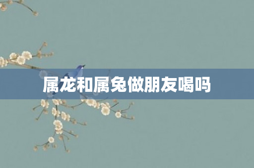 属龙和属兔做朋友喝吗