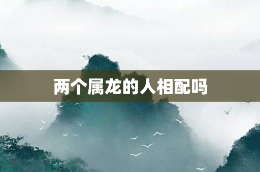 两个属龙的人相配吗
