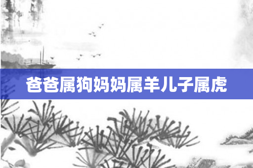 爸爸属狗妈妈属羊儿子属虎
