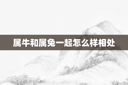 属牛和属兔一起怎么样相处