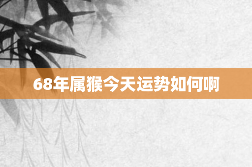 68年属猴今天运势如何啊
