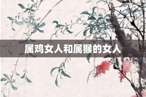 属鸡女人和属猴的女人