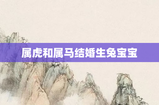 属虎和属马结婚生兔宝宝