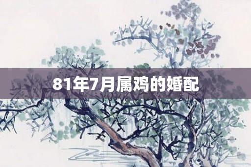 81年7月属鸡的婚配