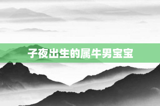 子夜出生的属牛男宝宝