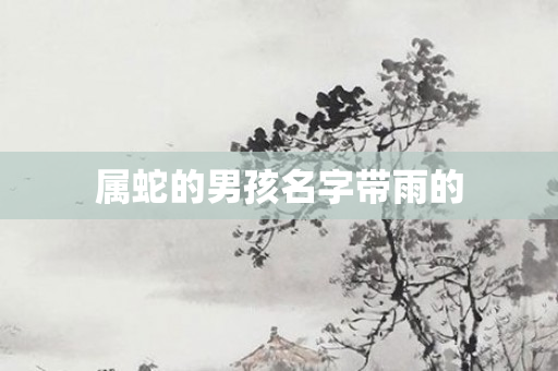 属蛇的男孩名字带雨的