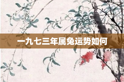 一九七三年属兔运势如何