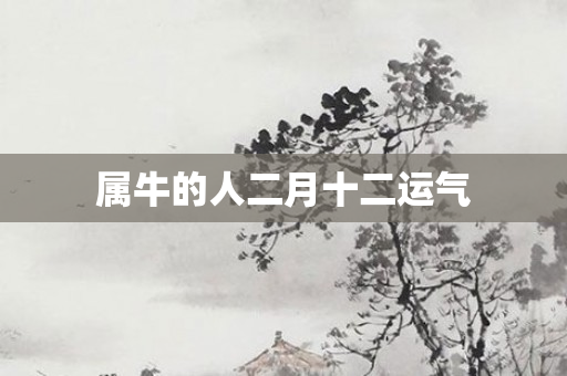 属牛的人二月十二运气
