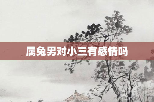 属兔男对小三有感情吗