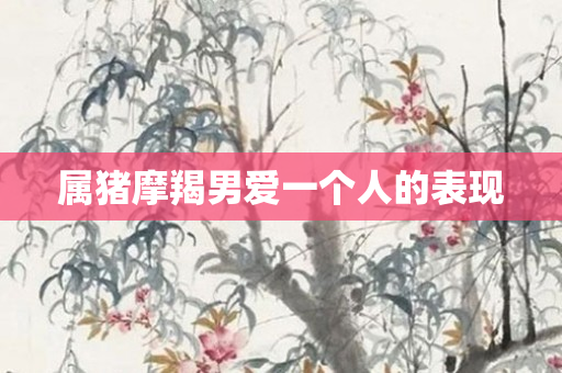 属猪摩羯男爱一个人的表现