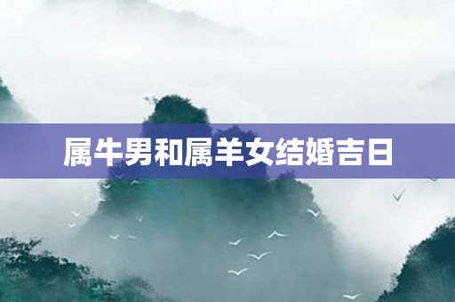 属牛男和属羊女结婚吉日