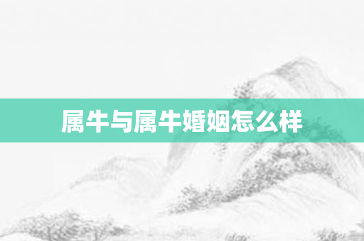 属牛与属牛婚姻怎么样