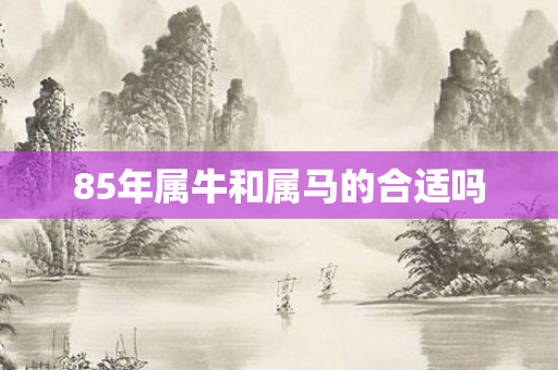 85年属牛和属马的合适吗