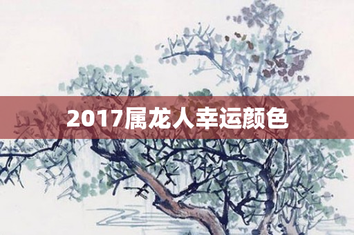 2017属龙人幸运颜色