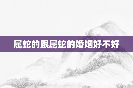 属蛇的跟属蛇的婚姻好不好