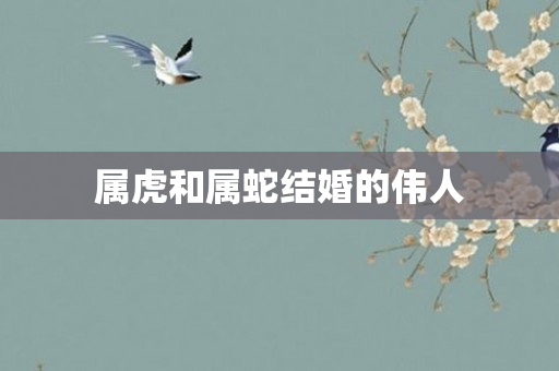 属虎和属蛇结婚的伟人