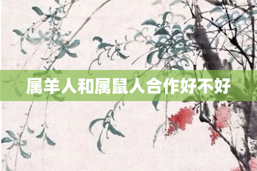 属羊人和属鼠人合作好不好