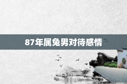 87年属兔男对待感情