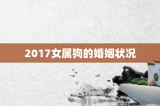 2017女属狗的婚姻状况