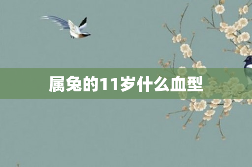 属兔的11岁什么血型