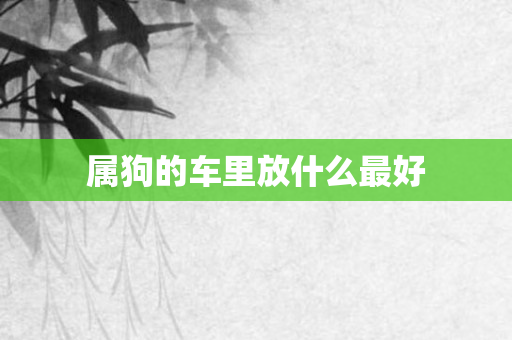 属狗的车里放什么更好