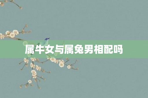 属牛女与属兔男相配吗
