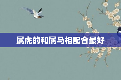 属虎的和属马相配合更好