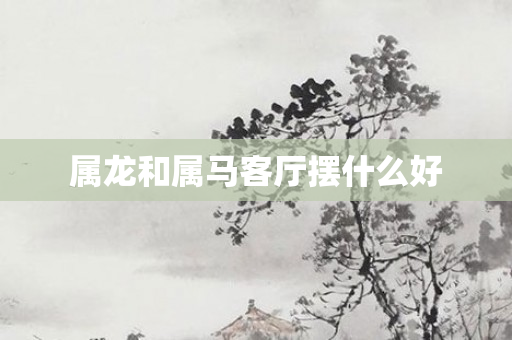 属龙和属马客厅摆什么好