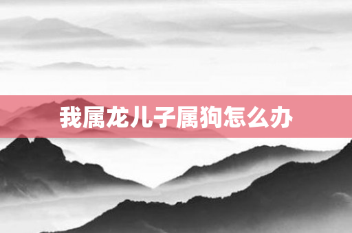 我属龙儿子属狗怎么办