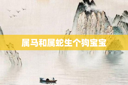 属马和属蛇生个狗宝宝
