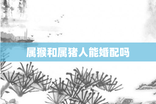 属猴和属猪人能婚配吗