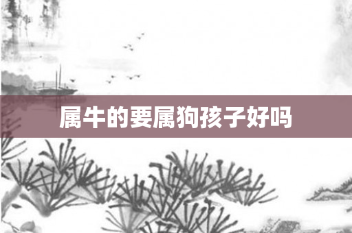 属牛的要属狗孩子好吗