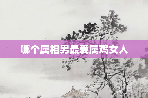 哪个属相男更爱属鸡女人