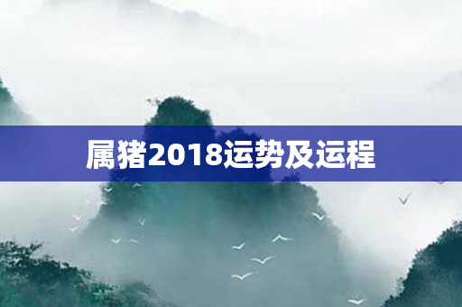 属猪2018运势及运程
