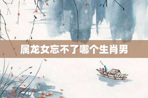 属龙女忘不了哪个生肖男