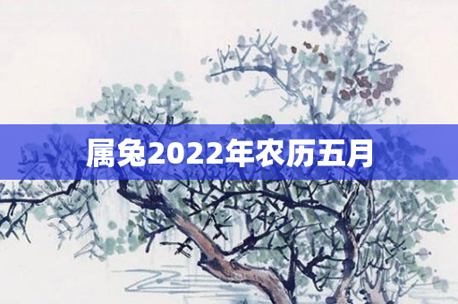 属兔2022年农历五月