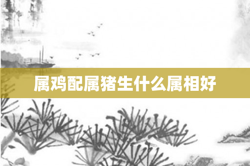 属鸡配属猪生什么属相好